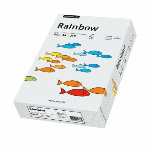 Papier ksero A4 160 j.szary 250aR93 RAINBOW 88042791/84