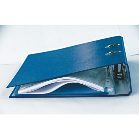 Koszulki ESSELTE A4 maxi 100 mic (25szt) 259760