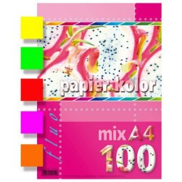 Papier ksero A4 mix fluorescencyjny (100 arkuszy) KRESKA