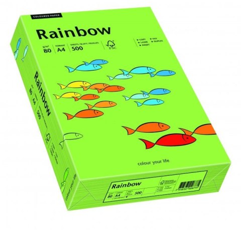 Papier ksero kolorowy RAINBOW zielony R76 88042651