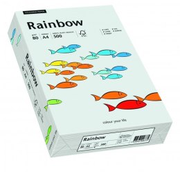 Papier ksero kolorowy RAINBOW jasnoszary R93 88042783