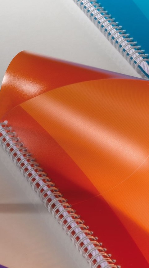 Kołonotatnik A4 90 kartek, linia / tagi, MY COLOURS, OXFORD, 100104241