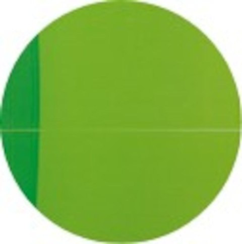 Kołonotatnik A4 90 kartek, linia / tagi, MY COLOURS, OXFORD, 100104241