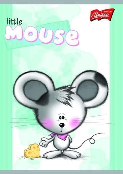 Zeszyt A5 16k lam.gładki UNIPAP