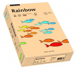 Papier ksero kolorowy RAINBOW łosiosiowy R40 88042497