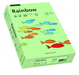 Papier ksero kolorowy RAINBOW przygaszona zieleń R75 88042629