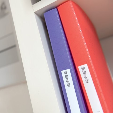 Album ofertowy Esselte Colour"Breeze, z 80 koszulkami, koralowy 628445 Esselte