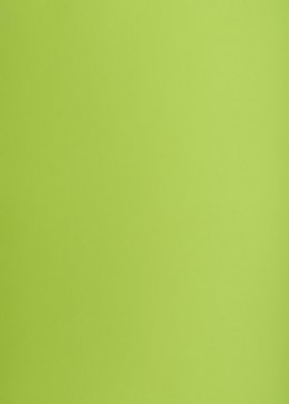 Karton kolorowy Creatinio B2 225g 25ark nr.66 j.zielony 400150337 TOP-2000