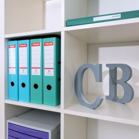 Segregator Esselte No.1 Colour"Breeze, 75mm, zielony 626505