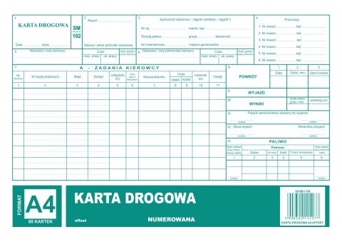 Karta drogowa A4, 80 kartek numerowana offset, 10-801-1N DOTTS