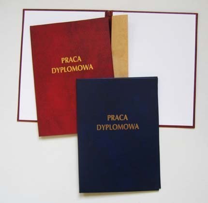 Okładka praca dyplomow.339-005 WARTA