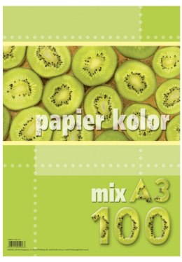 Papier ksero A3 80g mix kolorów (100 arkuszy) KRESKA