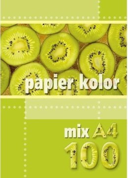 Papier ksero A4 mix kolorów 160g (100 arkuszy) KRESKA