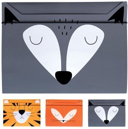 Teczka z gumką A4+ BeBe FRIENDS BOYS